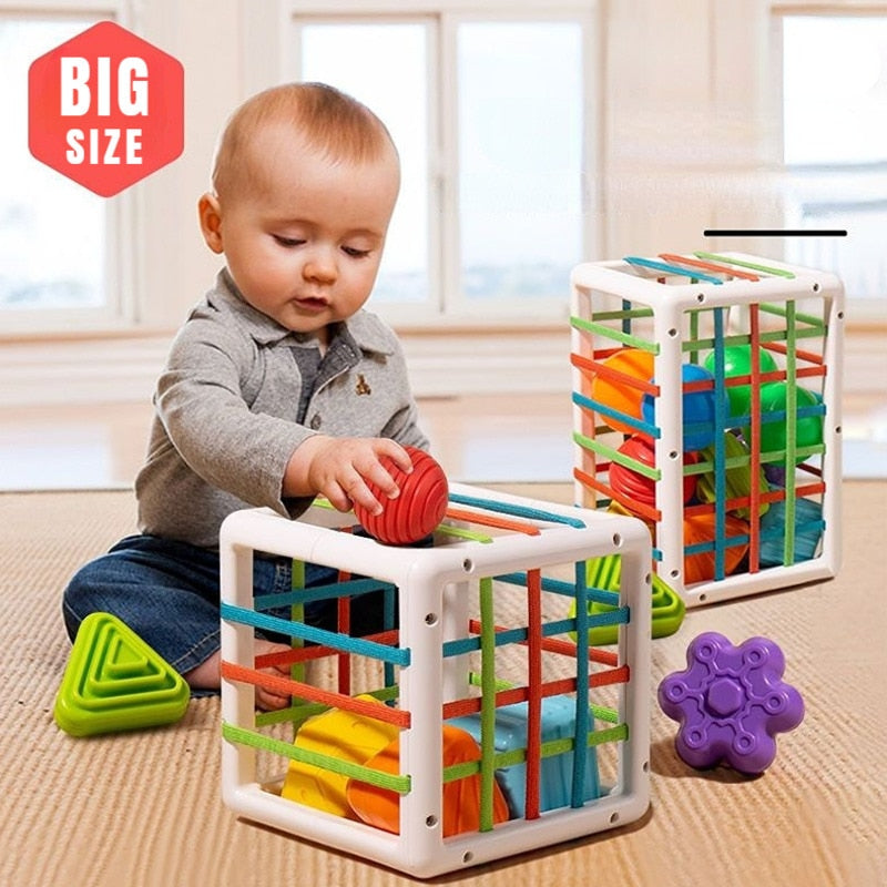 Colorful Montessori Sorting Game for babies 6-24M - Kiddzland